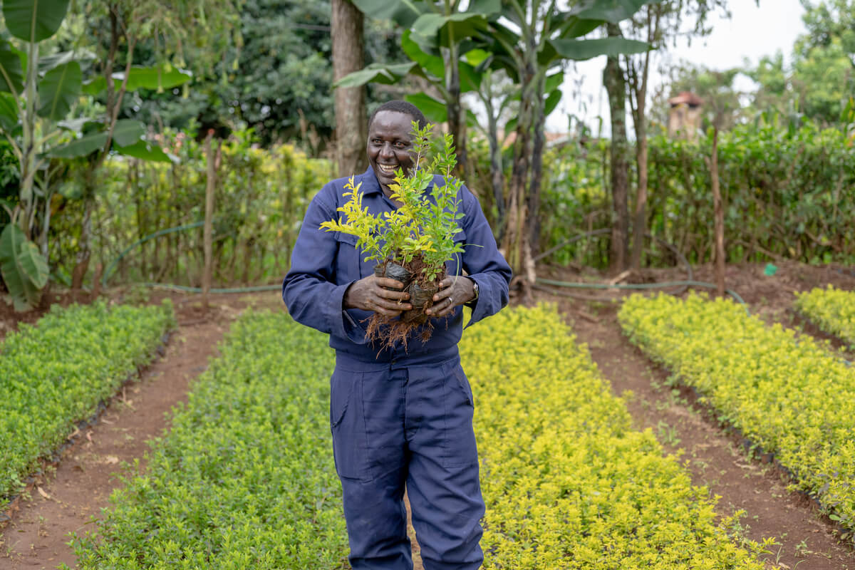Auf dem Bild ist ein schwarzer Mann mittleren Alters zu sehen. Er trägt einen blauen Overall, hält Pflanzen in der Hand und lächelt in die Kamera. Er ist Gärtner von Beruf.