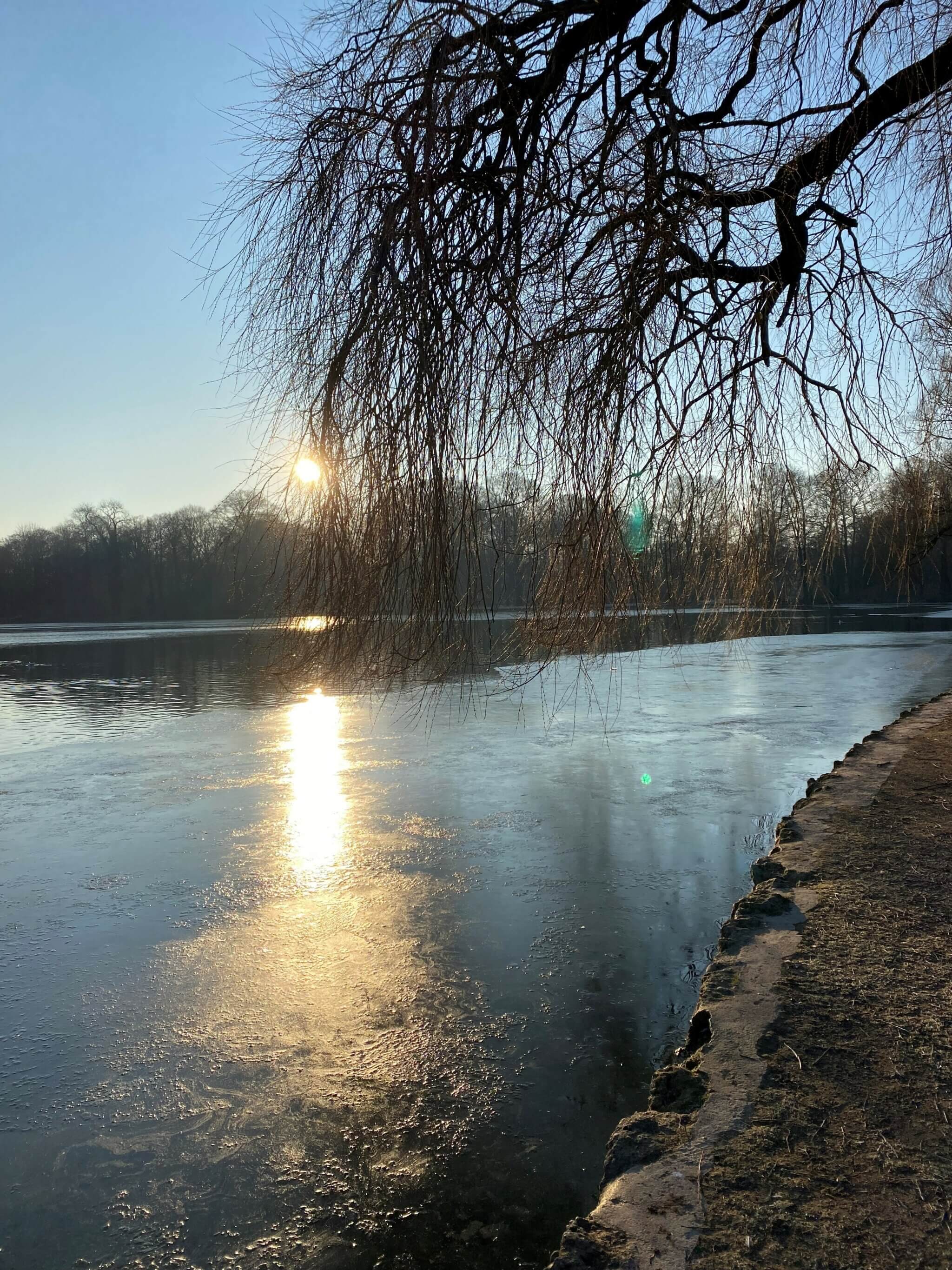 Impressionen vom Lauftraining in München: orstandsmitglied Laura Berlin trainiert für den Paris-Marathon