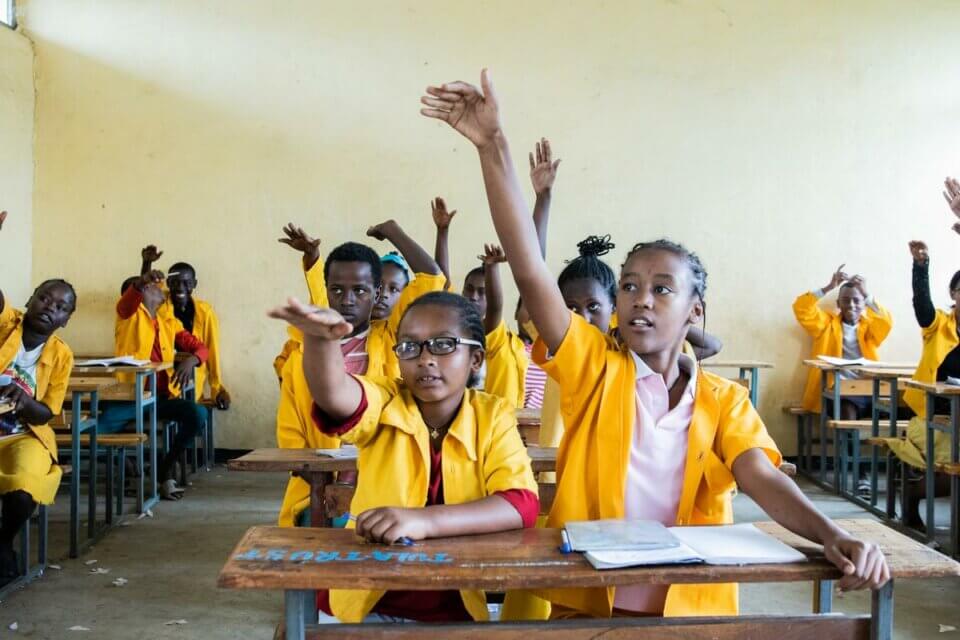 ALZOO Mobilitätshalsband Für Hunde - Natürliche Linderung Bei Gelenkbeschwerden