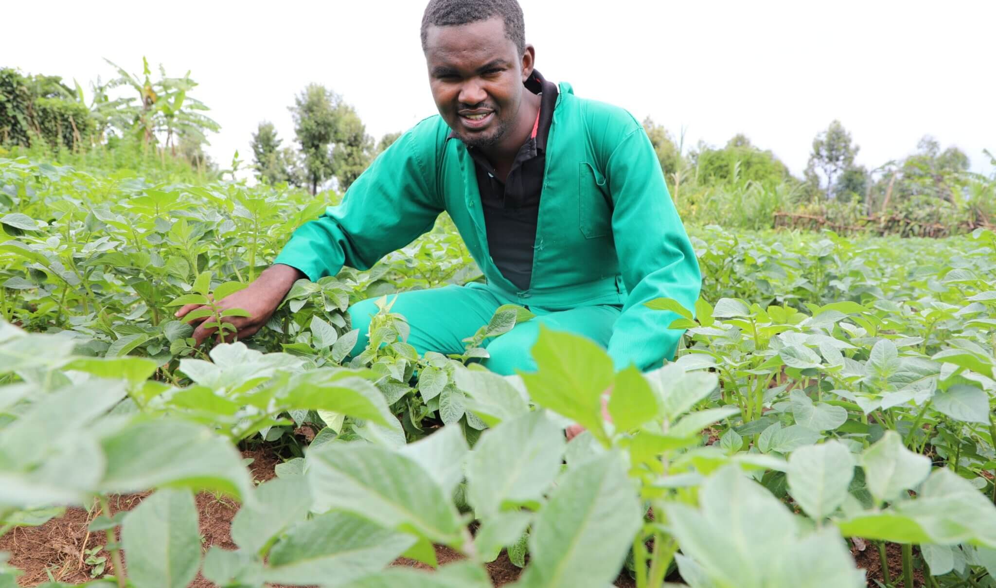 Joseph Rugemandzi, one of the winners from Rwanda. Joseph is crouched down in a vegetable patch wearing green overalls.