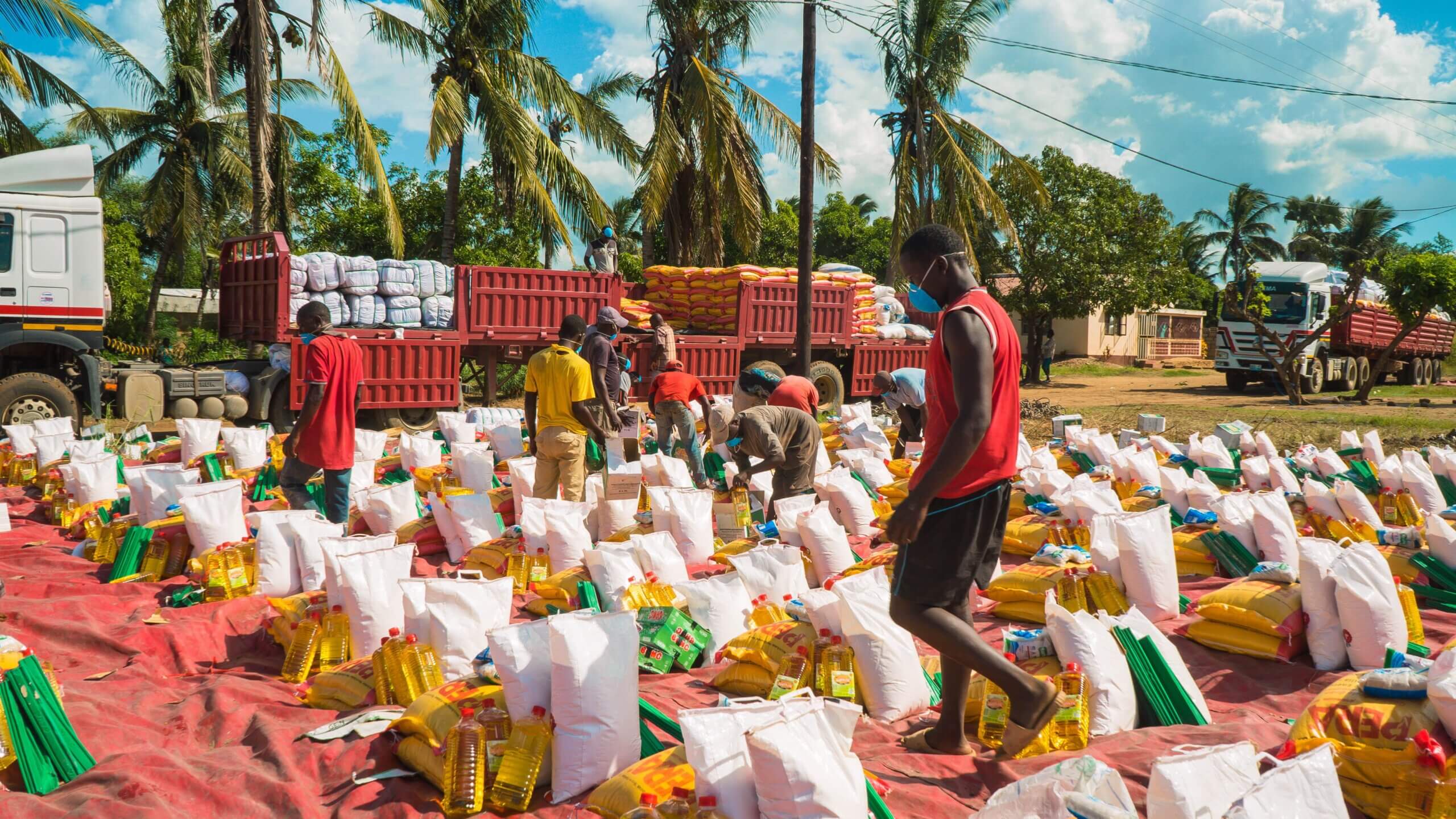 Relief efforts in Buzi, following Cyclone Eloise. Bags of food and bottles are arranged on a large red mat. There is a big truck in the background with more supplies. The distribution takes place outside, with several men and women in the background of the image sorting the relief packages. There is blue sky and palm trees in the background.