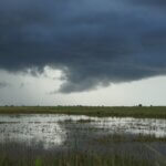 Floods after a cyclone hit Buzi, Mozambique in February 2020.
